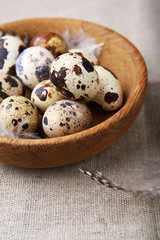 small quail eggs