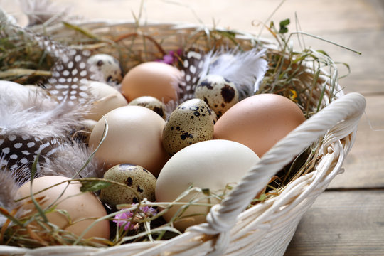 Easter decoration in a basket