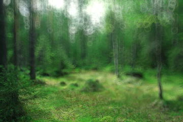 Fotobehang summer forest blurred texture background bokeh © kichigin19