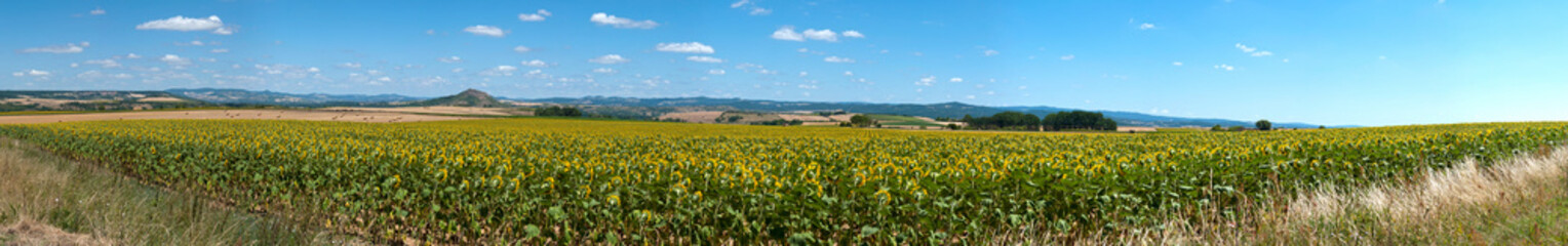 terre agricole d' Auvergne