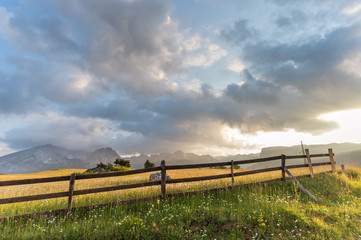 Fototapeta premium Wooden fence