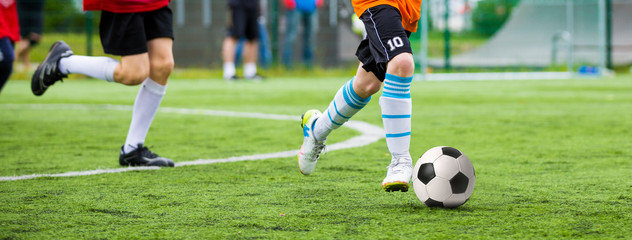 Obraz na płótnie Canvas Football match for children. Training and football soccer tournament