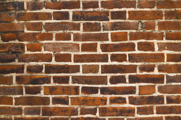 レンガの壁の背景 Brick wall  background