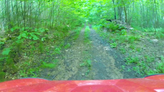 pov hood of a side by side four wheeler driving through trees