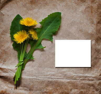 empty blank for greeting card with a bunch of dandelion
