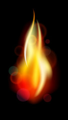 Fire. Vector flame 