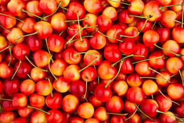 cherry
