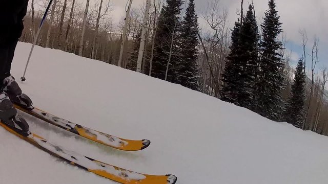 fast skier on mountain