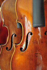 Violins 
