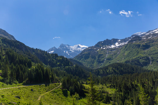 Sustenstrasse pass in Alsp