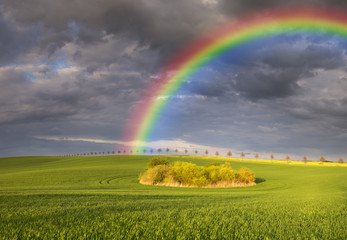 Spring colorful rainbow over the field 