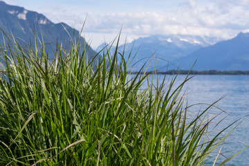 View on mountains and lake Geneva