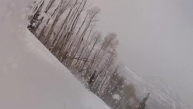 skiing through powder