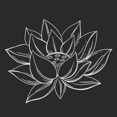 Lotus flower doodle symbol