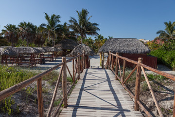 Path to Bar on the beach. Wooden bridge.