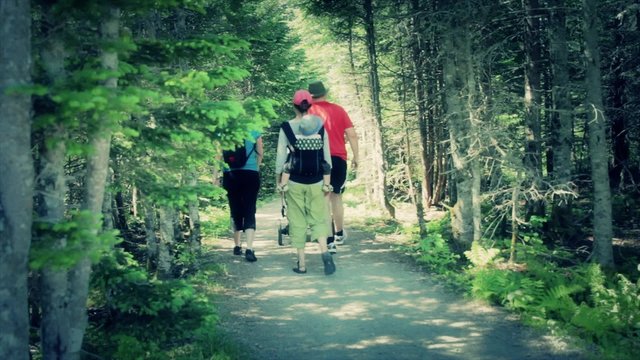 A Family Hiking Through A Forrest