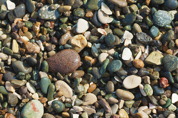 Sea pebble