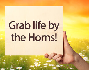 Female hand holding a card with the text: Grab life by the Horns