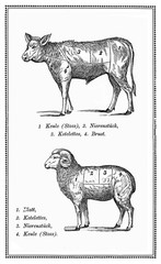 Food, Old calf and mutton chart with numbered cuts