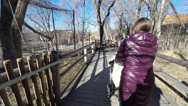 woman pushing stroller through the zoo