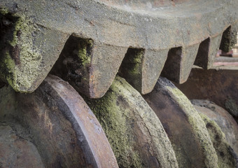 worm gear