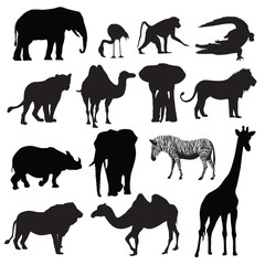 African animals