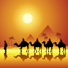Camels caravan