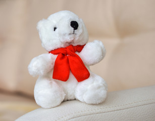 Teddy bear is sitting on  sofa in the room