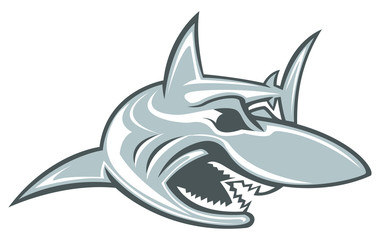 Shark Vector