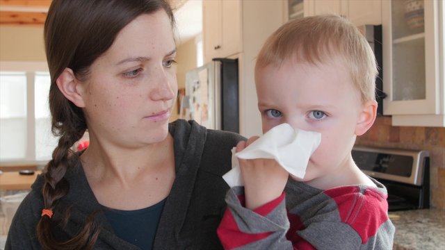 A little toddler blows nose into kleenex