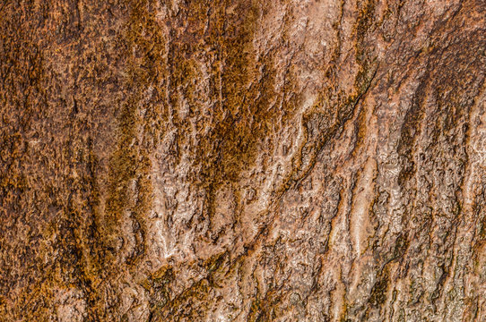 Fond en roche mouill&eacute;e couleur chaude le Pouldu Bretagne


