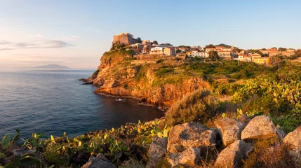 Foto op Canvas Panorama of Capraia city on the rock of Isola di Capraia island © honzahruby