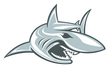 Shark Vector