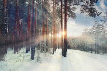 Schilderijen op glas Januari winterlandschap in het bos © kichigin19