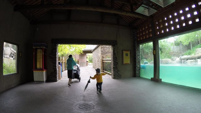 A gimbal shot of mother and toddler at the zoo