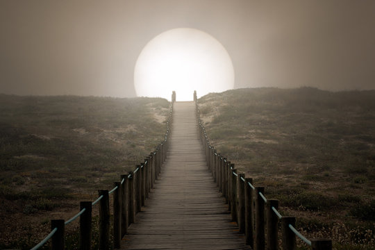 Fototapeta path to the sun