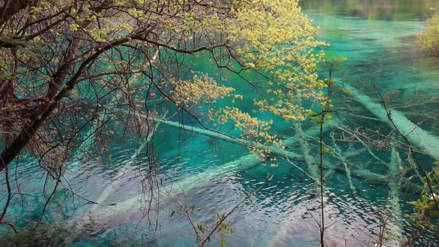beautiful clear blue lake at jiuzhaigou valley national park in china dolly