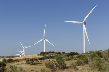 Windmills in a Mediterranean shrubland ecosystem