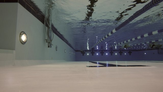 Underwater low shot of people swimming in clean swimming pool