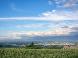 千望峠より見た上富良野町