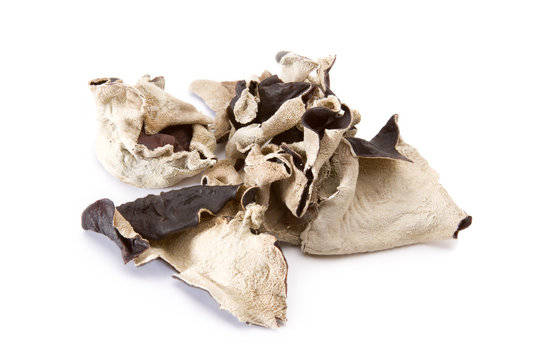 Dried Woodear Mushrooms – Dried woodear mushrooms, isolated on a white background.
