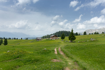 Obraz premium Mountain track