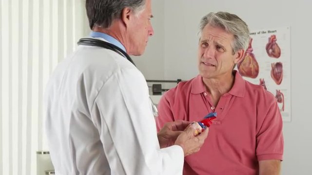 Senior doctor explaining heart to elderly patient