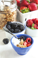Homemade granola with yogurt and berry