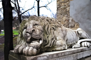 Fototapeta na wymiar Powerfull sculpture of stone lion in Lviv