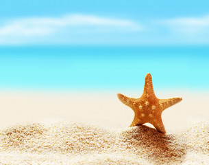 Fototapeta na wymiar Starfish on seashore in tropical beach - summer holiday background