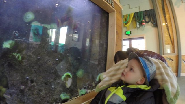A mom, baby and toddler with stroller at the zoo aquarium