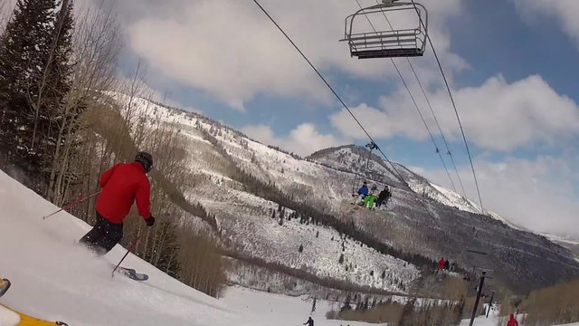 professional downhill skier