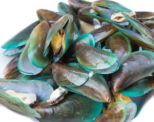 Baked green mussels  on white background