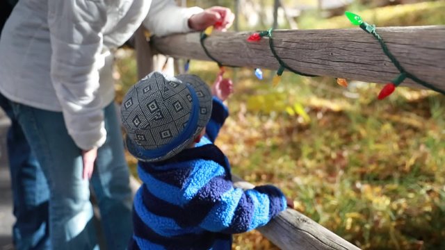 baby playing with zoo christmas lights